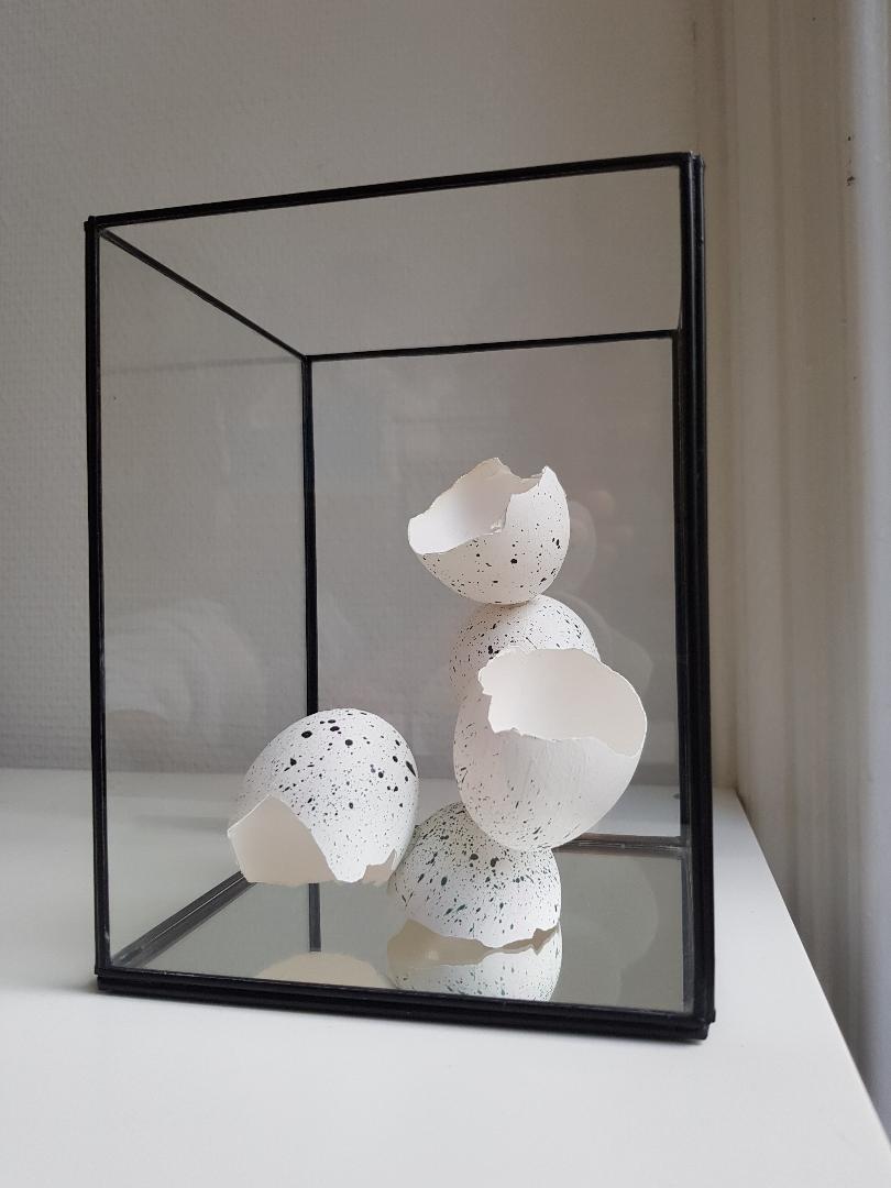 Marije van Rijswijk Ei sculptuur € 85.- incl. vitrine